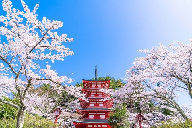 Mt. Fuji 5th, Oshino Hakkai, Onsen Full-Day Trip From Tokyo - Oshino Hakkai ponds: the calm contrast that makes the day feel complete