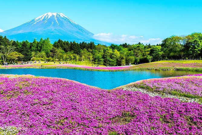 Mt. Fuji 5th, Oshino Hakkai, Onsen Full-Day Trip From Tokyo - Arakurayama Sengen Park: the Fuji viewpoint stop that plays well with crowds