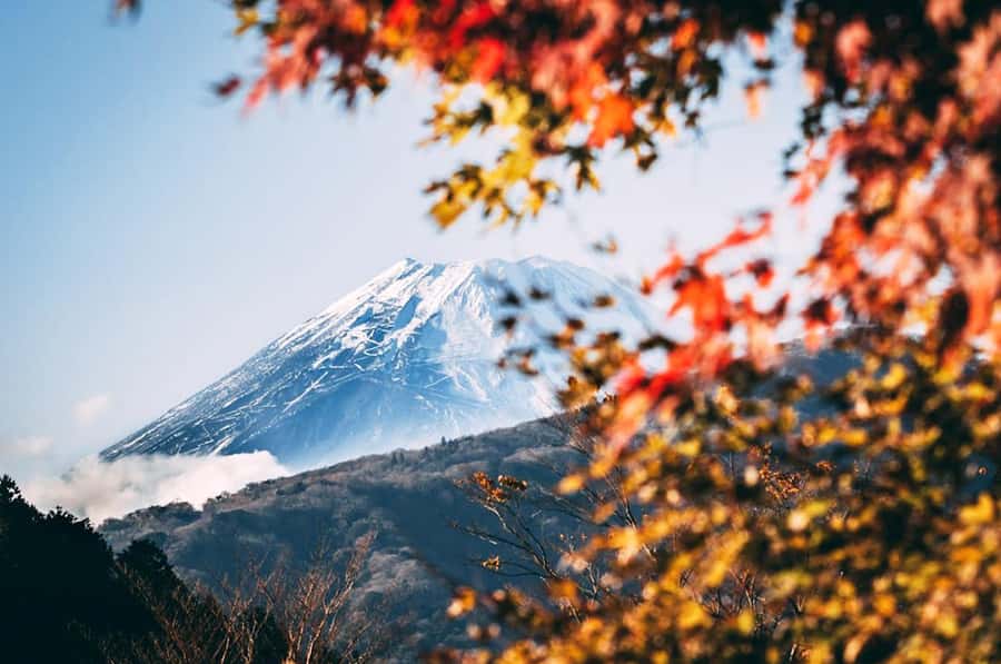 Mt. Fuji 6 Attractions Tour: Lake Kawaguchi, Oshino Hakkai - Key things I would not skip