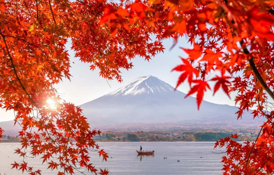 Mt. Fuji 6 Attractions Tour: Lake Kawaguchi, Oshino Hakkai - Why this Mt. Fuji day trip works (and who it suits)