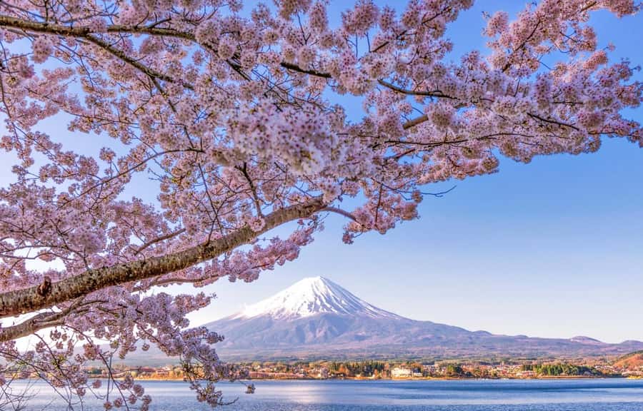 Mt. Fuji 6 Attractions Tour: Lake Kawaguchi, Oshino Hakkai - The big idea: Fuji views plus faith and rural Japan