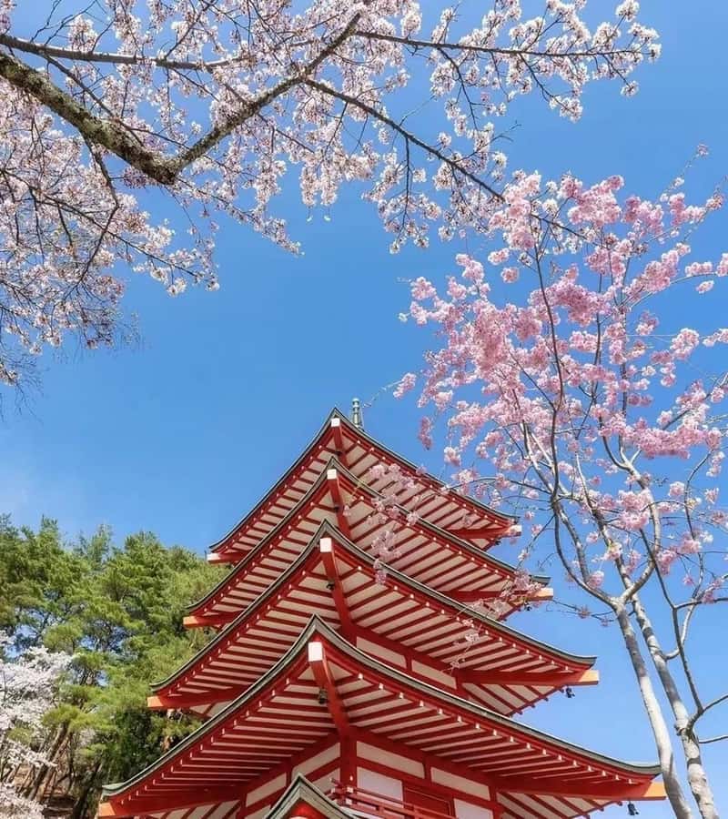Mt. Fuji 6 Attractions Tour: Lake Kawaguchi, Oshino Hakkai - Practical tips so your Fuji photos do not rely on luck