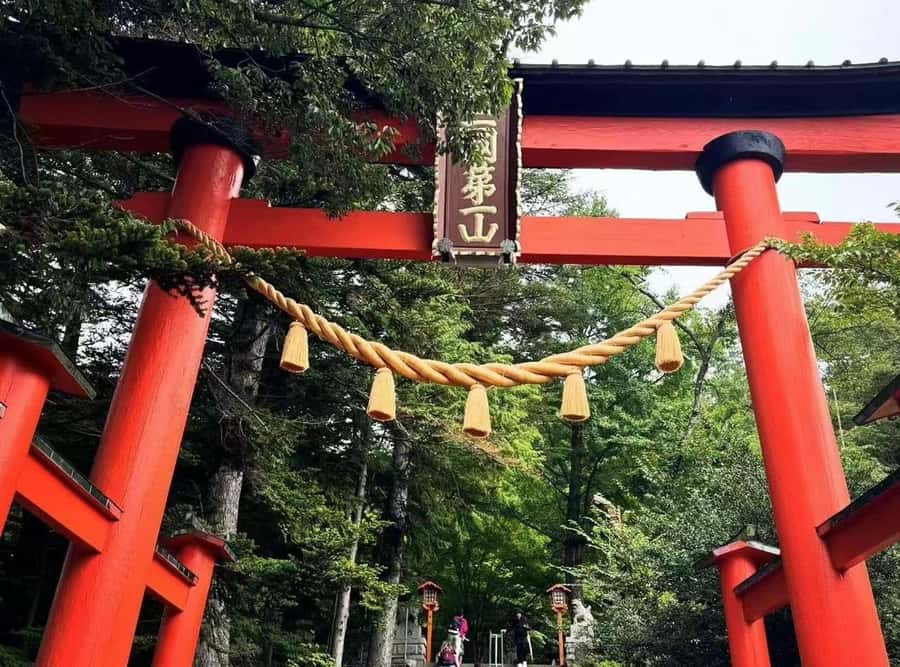 Mt. Fuji 6 Attractions Tour: Lake Kawaguchi, Oshino Hakkai - Should you book this Mt. Fuji 6 Attractions tour?