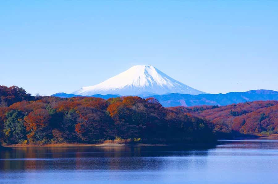 Mt. Fuji 6 Attractions Tour: Lake Kawaguchi, Oshino Hakkai - FAQ
