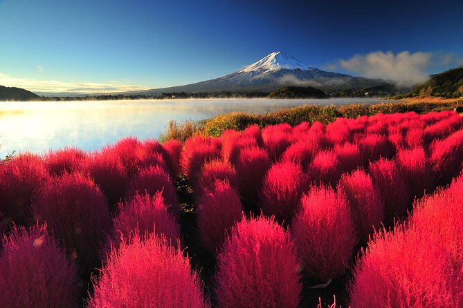Mt. Fuji and Hakone 1 Day Bus Tour + Kimono Experience - Owakudani Valley: active volcano drama in a half-hour block