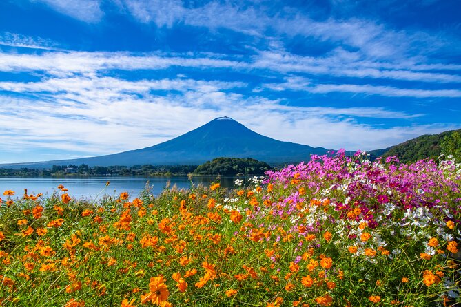 Mt. Fuji and Hakone 1 Day Bus Tour + Kimono Experience - Price and value: why $104.34 can actually feel fair