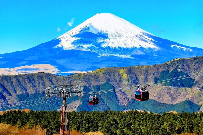 Mt Fuji and Hakone 1-Day Bus Tour Return by Bus - Lunch at the foot of Fuji: included, but not halal or vegan