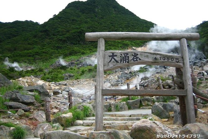 Mt. Fuji and Hakone Day Trip From Tokyo with Bullet Train Option - The Hakone Ropeway Segment: Scenic Air Time, Sometimes With Lines
