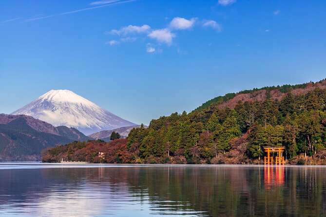 Mt. Fuji and Hakone Day Trip From Tokyo with Bullet Train Option - Price and Value: What You’re Paying For