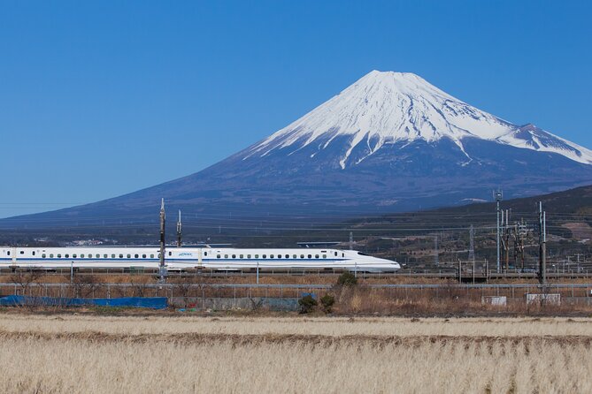 Mt. Fuji and Hakone Day Trip From Tokyo with Bullet Train Option - Mt. Fuji 5th Station: The Best Photo, Plus the Weather Catch