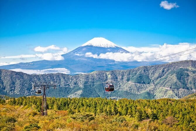 Mt Fuji and Hakone Private Day Tour - Key things that make this tour work well