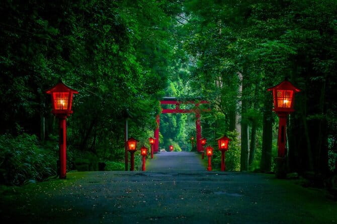 Mt Fuji and Hakone Private Day Tour - What a private Mount Fuji or Hakone day feels like from Tokyo