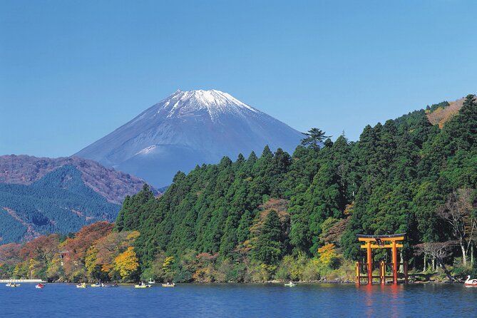 Mt.Fuji and Hakone Private SightSeeing Day Tour With Guide - Chureito Pagoda: the iconic Fuji postcard angle