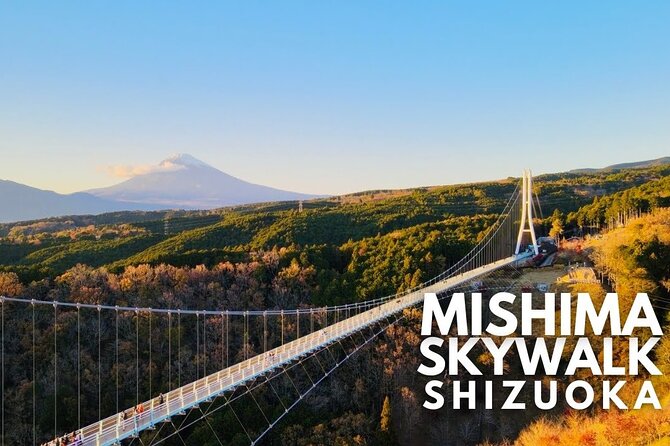 Mt. Fuji and Hakone Private Tour with English Speaking Guide - Oishi Park: flowers, a short stroll, and seasonal color