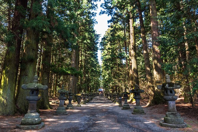 Mt.Fuji and Hakone Tour - Stop 5: Hakone Shrine and Kuzuryu Shrine, the “floating gate” effect