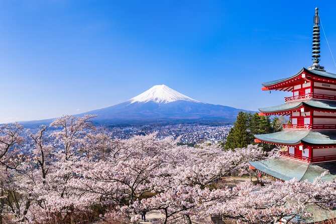 Mt.Fuji and Hakone Tour - Stop 1: Mt. Fuji 5th Station, and what clouds can change