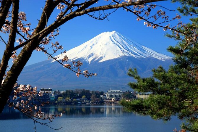 Mt Fuji and Kawaguchiko Private Tour - Tokyo hotel pickup at 7:00 am, and why it matters for Mt Fuji