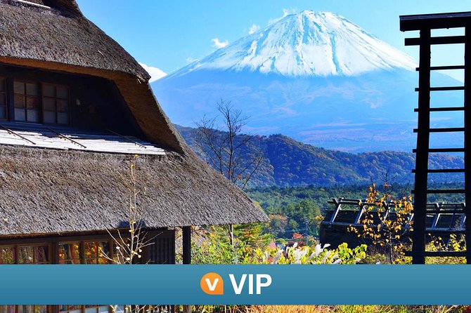 Mt Fuji and Kawaguchiko Private Tour - Arakura Fuji Sengen Shrine: the iconic pagoda view, with real context