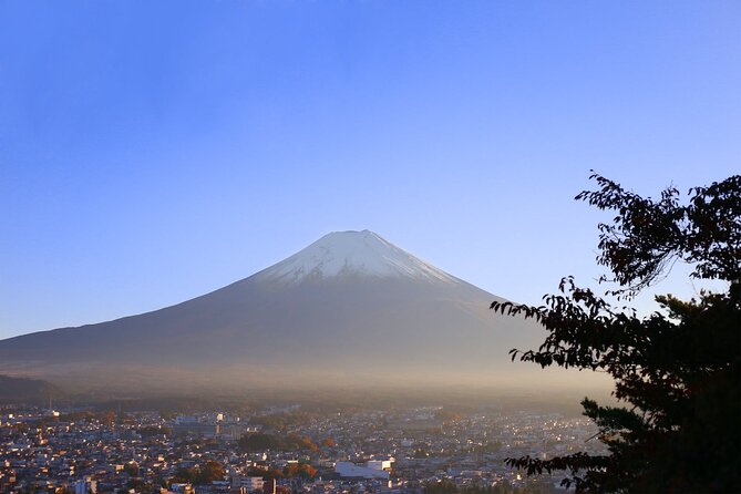 Mt. Fuji and Lake Kawaguchi Day Trip with Private Car - Aokigahara Lava Tubes: Narusawa Ice Cave and Fugaku Wind Cave