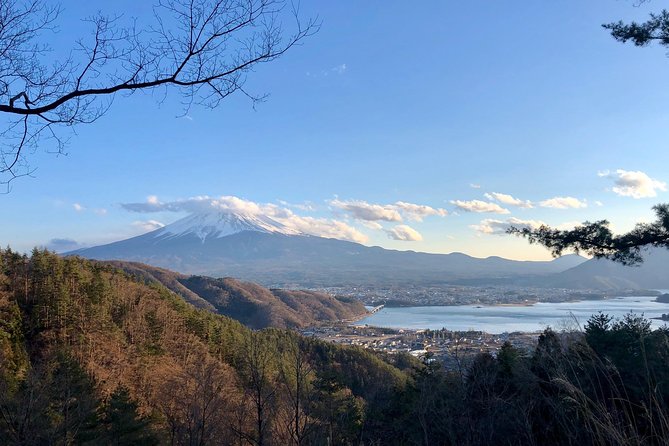 Mt Fuji Area Private Guided Tours in English-Nature up close, quiet, personal - A quiet private Mt. Fuji day from Fujikawaguchiko