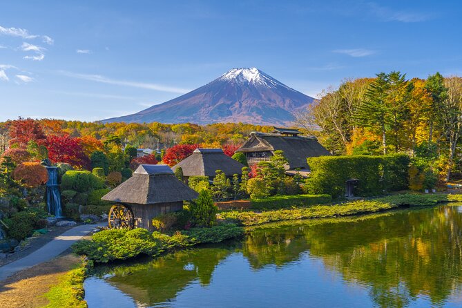 Mt. Fuji Area Tour Tokyo DEP: English Speaking Driver, No Guide - Private English-speaking driver beats Tokyo crowds
