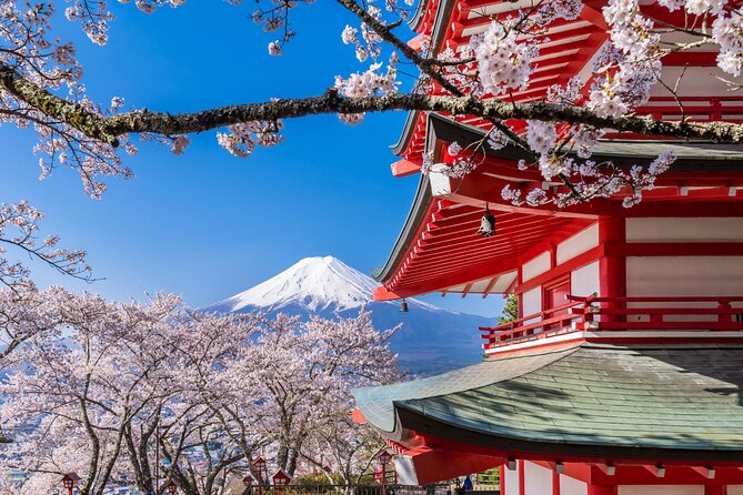 Mt. Fuji Area Tour Tokyo DEP: English Speaking Driver, No Guide - Ropeway time near Lake Kawaguchiko, a strong add-on