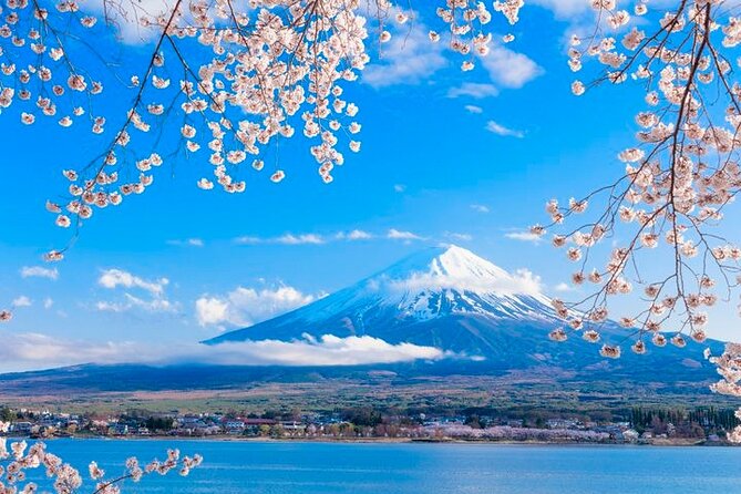 Mt. Fuji Area Tour Tokyo DEP: English Speaking Driver, No Guide - Oshino Hakkai ponds: a calmer, culture-tinged stop