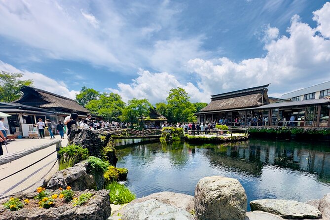 Mt. Fuji, Cherry Blossom & Shiba Sakura Pvt. Day Tour - Lake Kawaguchiko and Oishi Park: Cable Car Views, Cruise Options, and Flower Walks
