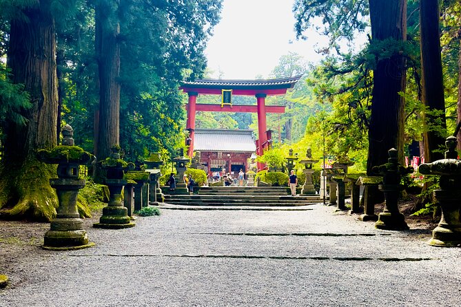 Mt. Fuji, Cherry Blossom & Shiba Sakura Pvt. Day Tour - Guide and Vehicle Experience: WiFi, Comfort, and Real-Day Flex