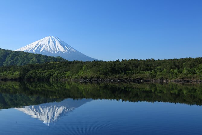 Mt Fuji Customizable Private Tour English Speaking Driver Pick-up - Tokyo to Mt Fuji without the commuter stress