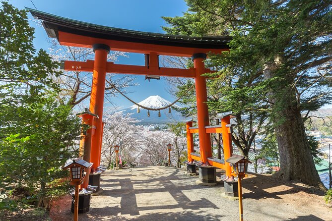 Mt Fuji Customizable Private Tour English Speaking Driver Pick-up - Saiko Iyashi no Sato Nenba: traditional village with extra costs