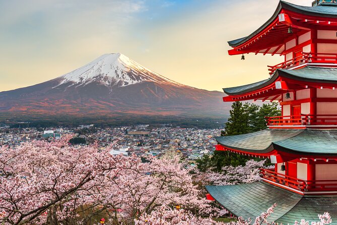 Mt Fuji Customizable Private Tour English Speaking Driver Pick-up - Shibuya pickup at 8:00 am, then back again
