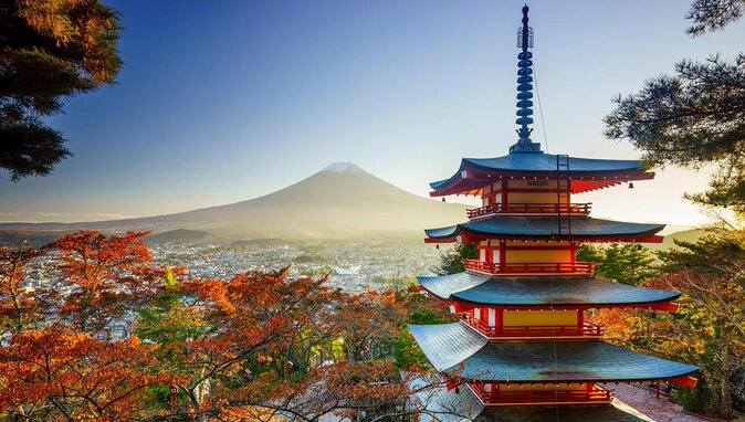 Mt. Fuji Customized Private Tour: See Top Attractions in 1 Day - Key things to know before you go