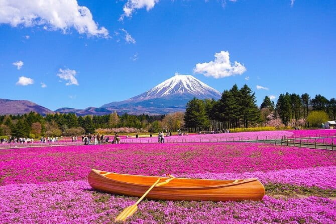 Mt. Fuji Day tour: Kawaguchi Lake Ropeway, Matcha, Oshino Hakkai - Key highlights to know before you go