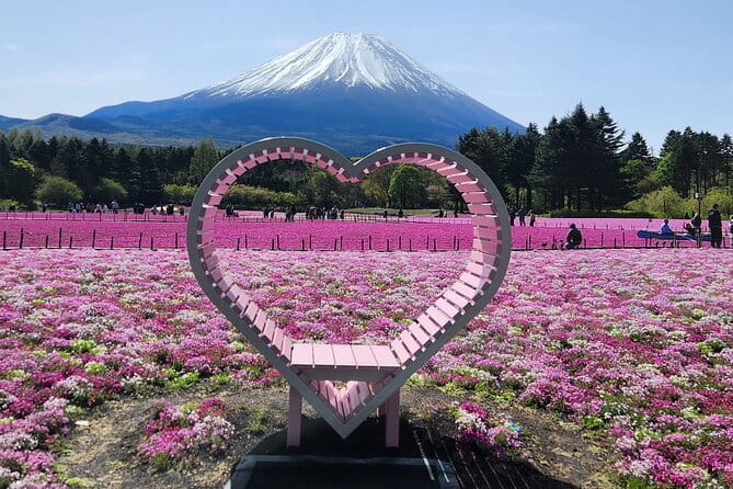Mt. Fuji Day tour: Kawaguchi Lake Ropeway, Matcha, Oshino Hakkai - Stop 4: Oshino Hakkai, eight springs and easy walking