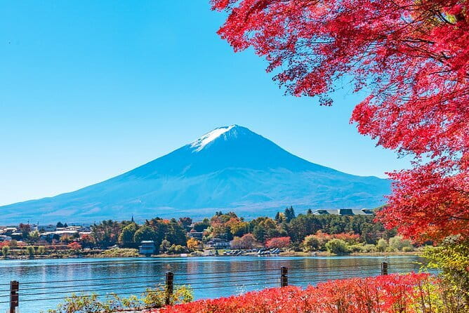 Mt. Fuji Day tour: Kawaguchi Lake Ropeway, Matcha, Oshino Hakkai - How the day fits together from Tokyo, without a rental car
