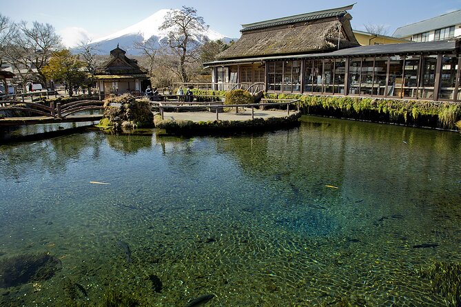 Mt FUJI Day Tour with Private Car and English Speaking Guide - Private Car From Your Tokyo Hotel, and Why It Matters