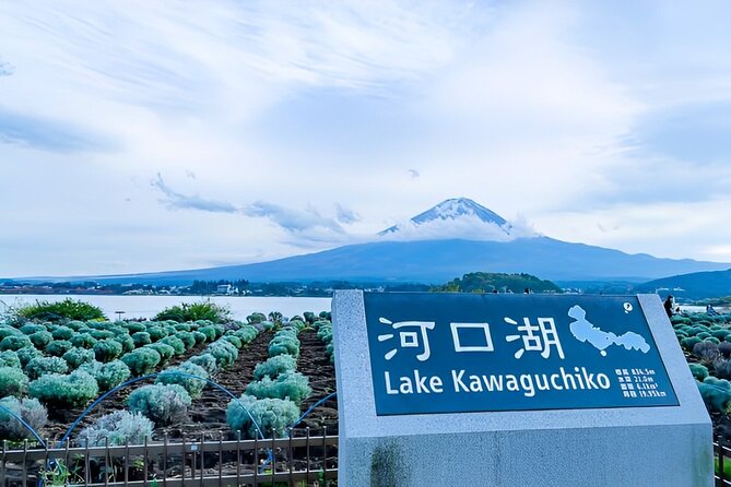 Mt FUJI Day Tour with Private Car and English Speaking Guide - Chureito Pagoda and Arakura Sengen Shrine: Steps, Views, and the Classic Shot