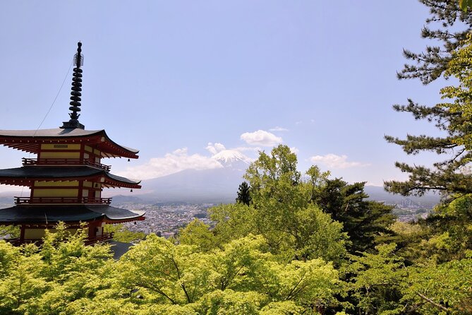 Mt Fuji Day Trip from Tokyo by Car with Photographer Guide - Arakurayama Sengen Park: 400 steps, a quick Fuji check, and free views