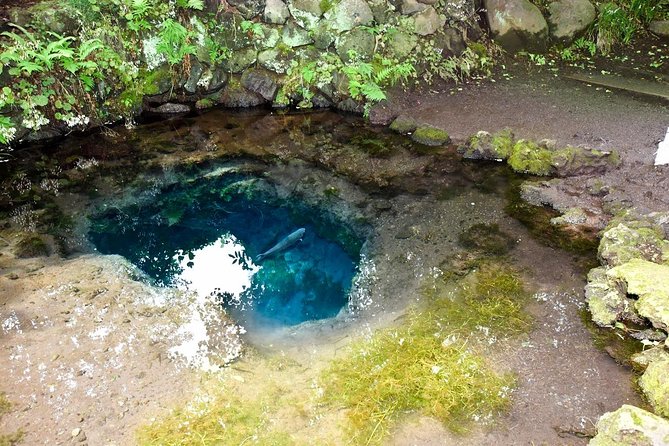 Mt Fuji Day Trip from Tokyo by Car with Photographer Guide - Oshino Hakkai: clear spring water, a taste, and local house scenery