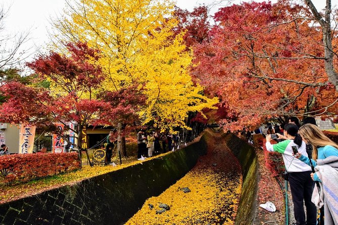 Mt Fuji Day Trip from Tokyo by Car with Photographer Guide - Kitaguchi Hongu Fuji Sengen Jinja: lantern path and a trail entrance
