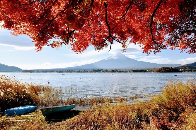 Mt Fuji Day Trip from Tokyo by Car with Photographer Guide - The value question: $1,150 per group, and who it helps most