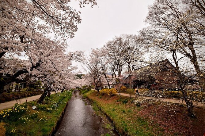 Mt Fuji Day Trip from Tokyo by Car with Photographer Guide - Weather reality: what to do when Mt. Fuji hides