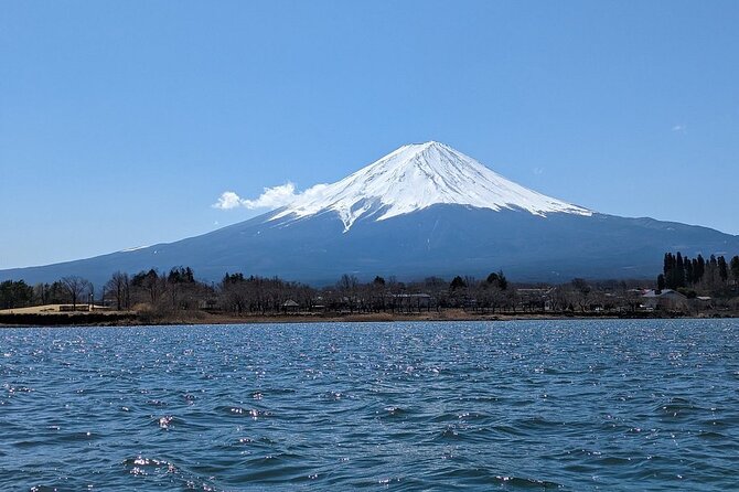 Mt. Fuji Day Trip from Tokyo with English Speaking Driver Guide - Private Transport That Actually Saves Your Day