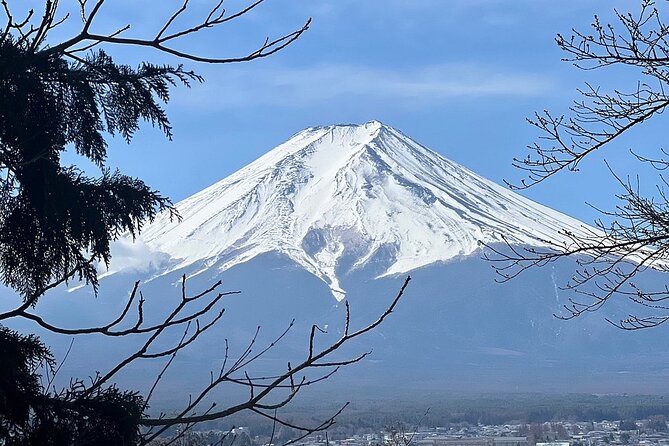 Mt. Fuji Day Trip from Tokyo with English Speaking Driver Guide - Oshino Hakkai: Springs, Old Japan Vibes, Short and Sweet