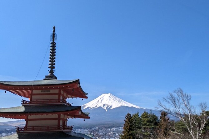 Mt. Fuji Day Trip from Tokyo with English Speaking Driver Guide - Lake Kawaguchiko: Boats, Views, and a Cool Lake Break