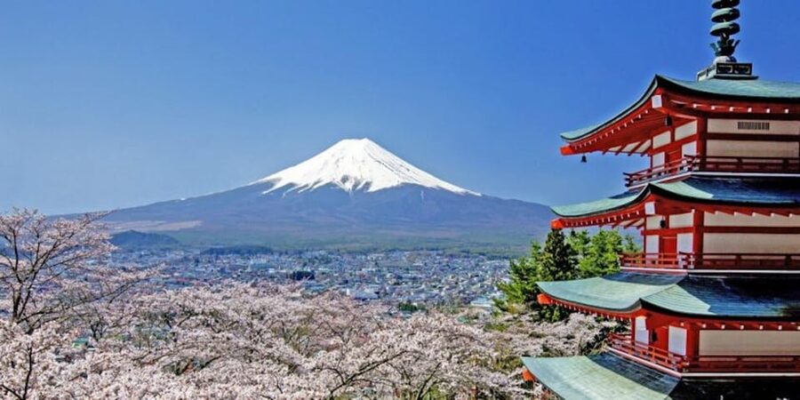 Mt. Fuji Drive Tour (Includes Visit to Local Speedway) - The in-between stops that connect the dots
