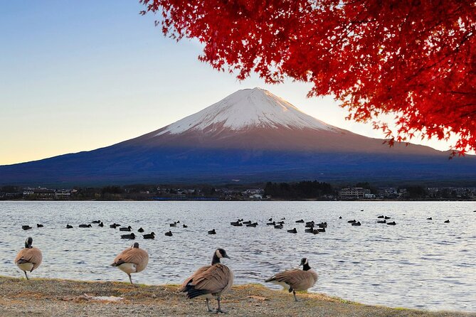 Mt Fuji Exclusive Tour with Private Car English Guide - A Private Fuji Day From Tokyo That Feels Worth the Money