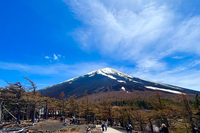Mt. Fuji & Hakone Bus Tour Bullet Train Return & 28-Hotel Pick-up - The Real Deal on a 10-Hour Fuji and Hakone Day