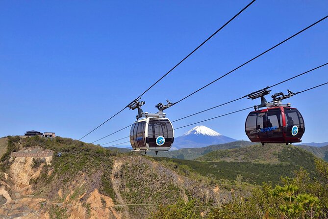 Mt. Fuji & Hakone Bus Tour Bullet Train Return & 28-Hotel Pick-up - Hakone Sky Gondola to Owakudani: Volcanic Views Without Too Much Fuss